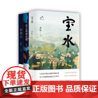 乔叶作品集 2023年茅盾文学奖得主代表作 宝水 拆楼记 在土耳其合唱