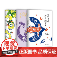三毛经典作品3册 我的灵魂骑在纸背上 温柔的夜 稻草人手记 华语经典文学散文作品