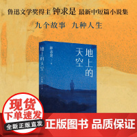地上的天空(鲁迅文学奖得主钟求是ZUI新中短篇小说集,人生九故事,程永新、徐则臣、班宇)