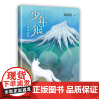 少年狼3 哲别山谷 知名作家安波舜 儿童励志成长小说 少年不可错过的成长小说 收录精美插图 四色印刷 适合亲子共读