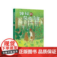 小刺猬奇遇记:神秘的风中少年 童话故事 图文结合 勇气 智慧 善良 欢笑 惊喜 神奇 奇妙 一二三四年级 课外读物 爱