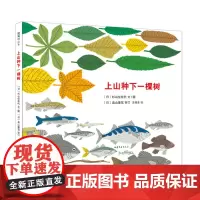 上山种下一棵树 科普生态环保 3-6岁精装绘本一粒种子的旅行前传植物森林松鼠狐狸猫头鹰动物山海太阳和海洋自然爱心树正版包