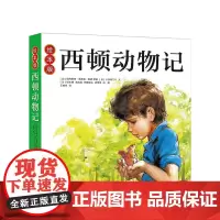 绘本版西顿动物记 一年级课外阅读 专为3~6岁儿童创作的西顿动物记 让孩子在真实感人的故事中了解动物世界