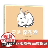 它叫棉花糖 克莱尔·特雷·纽伯瑞 猫 兔子 爱 亲密 幸福 温暖 友谊 母爱 二胎 凯迪克大奖 感动 木炭画 爱心树童书