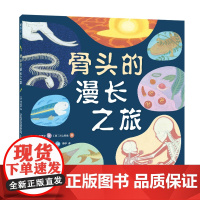 骨头的漫长之旅 松田素子 川上和生 进化 生物简史 大海 陆地 无脊椎 有脊椎 科普绘本 5岁以上