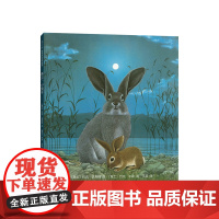 再见,小兔子 3-6-7-10岁 分级阅读书目 国际安徒生奖+德国青少年文学奖获奖者作品 积极 自由 森林大熊