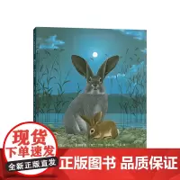 再见,小兔子 3-6-7-10岁 分级阅读书目 国际安徒生奖+德国青少年文学奖获奖者作品 积极 自由 森林大熊