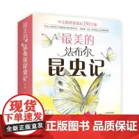 []最美的法布尔昆虫记 共12册 3~8岁 昆虫记 法布尔 自然 儿童 科普绘本 手绘 彩图 名著经典 学校读物 爱心