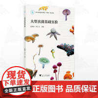 大型真菌基础实验/浙江省普通本科高校“十四五“重点教材/霍颖异/林文飞主编/浙江大学出版社