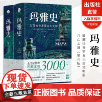 [出版社官旗正版]玛雅史(全2册)浙江文艺出版社(美)罗伯特·J.沙雷尔(美)洛·P特拉克斯勒著杨靖等译遗址文物照片权威