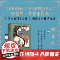 [官旗正版]切文古尔 作者俄语文学大师 苏安德烈·普拉东诺夫 构筑的艺术世界独一无二被称为普拉东诺夫之谜 普拉东诺夫