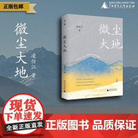 [预售]微尘大地 凌仕江 著 凌仕江最新散文精选结集,一部心灵的剖析史