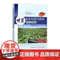 甘薯虫害识别与防治原色图鉴