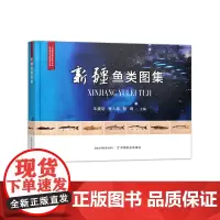 新疆鱼类图集(中国西北地区重点水域渔业资源与环境保护丛书)321939 牛建功,张人铭,刘鸿 2024.12