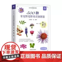 500种常见野花野草识别图鉴(彩图典藏版)
