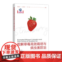 图解草莓高效栽培与病虫害防治 318854 2024.07 姜兆彤,张志宏,李柱
