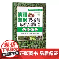 澳洲坚果栽培与病虫害防治彩色图说 30039