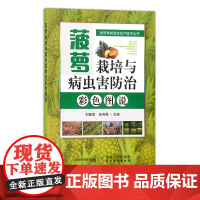 菠萝栽培与病虫害防治彩色图说 果树园艺 热带水果 热带果树高效生产技术丛书 刘胜辉,张秀梅 30284