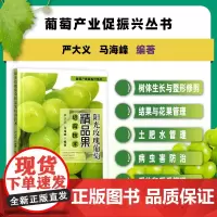 阳光玫瑰葡萄精品果培育技术31861-8 严大义,马海峰 2024.04
