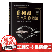 鄱阳湖鱼类影像图鉴