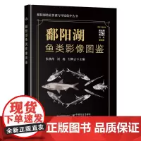 鄱阳湖鱼类影像图鉴