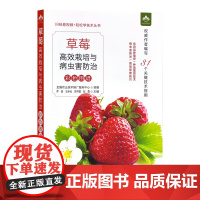 草莓高效栽培与病虫害防治彩色图谱(扫码看视频?轻松学技术丛书) 30052-1 定价58