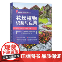 花坛植物识别与应用