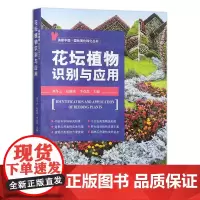 花坛植物识别与应用