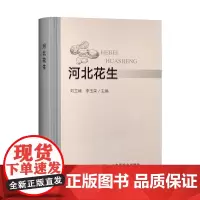 河北花生 31005-6