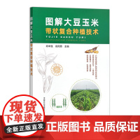 图解大豆玉米带状复合种植技术 307650 高中强,高凤菊 农业栽培技术 2023-05