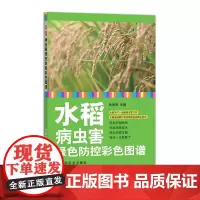 水稻病虫害绿色防控彩色图谱 26440-3 吕仲贤 文字与图片相结合 轻松识别病虫 找准绿控技术 种出优质水稻 农