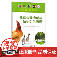 禽病病理诊断与防治彩色图谱 30693