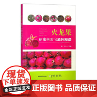 火龙果病虫害防治原色图谱 30680