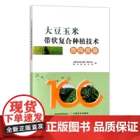 大豆玉米带状复合种植技术百问百答 问题解答 全国农业技术推广服务中心 四川农业大学 29841