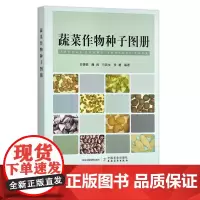 蔬菜作物种子图册 王德槟,魏民,马宾生,李蕾 30002