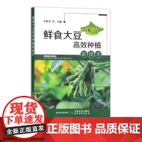 鲜食大豆高效种植新技术 许林英 等 栽培技术 黄豆 种植管理 田间管理 毛豆 30348