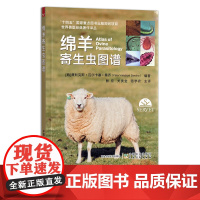 世界兽医经典著作译丛:绵羊寄生虫图谱 寄生虫病 羊病 费利克斯•瓦尔卡塞•桑乔 殷宏 关贵全 骆学农 30057