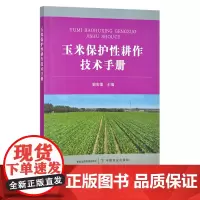 玉米保护性耕作技术手册 栽培技术 苞谷 棒子 玉米穗 解宏图 30288