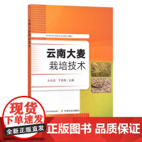 云南大麦栽培技术 王志龙 于亚雄 大麦种植 30067