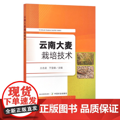 云南大麦栽培技术 王志龙 于亚雄 大麦种植 30067