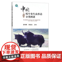 中国牦牛寄生虫形态分类图谱 牛病 29708