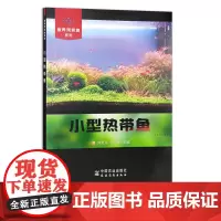 家养观赏鱼系列:罗汉鱼(17288) 锦鲤(17313) 小型热带鱼(30195) 养鱼 鱼缸