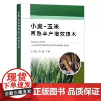 小麦-玉米两熟丰产增效技术 王同朝,关小康 高产栽培 28387