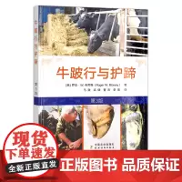 牛跛行与护蹄 第3版 牛病 蹄病防治 牛蹄 蹄子 29942