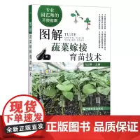图解蔬菜嫁接育苗技术 蔬菜种植 管理 栽培 温室 乜兰春 专业园艺师的不败指南 29704