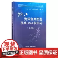 浙江海洋鱼类图鉴及其DNA条形码(上册) 朱文斌等 中国渔业 浙江省 水产品 咸水鱼 29396