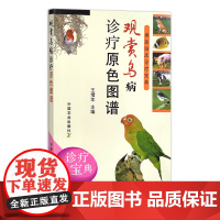 观赏鸟病诊疗原色图谱 王增年 (兽医临床诊疗宝典) 禽病 诊疗 鸟类 花鸟鱼虫 12622