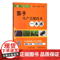 茄子生产关键技术一本通 蔬菜园艺 码上学技术 蔬菜生产系列 刘超杰,范双喜 29702