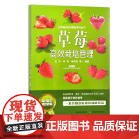 草莓高效栽培管理 29480 武冲等 温室草莓 大棚草莓 设施种植 栽培技术 水果 乡村振兴科技赋能系列丛书
