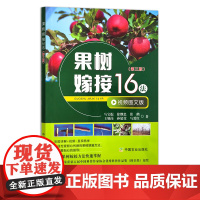 果树嫁接16法(第三版) 29294 马宝焜,徐继忠, 张鹤,王旭岗,孙建设,马爱红 果园 水果 苹果 农业技术